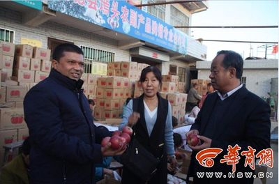 山沟沟里来了国外客商 尼泊尔客商在绥德购买900吨苹果